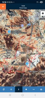 Nizip Doğrular Tek Tapu Mahsullü Fıstık Zeytin Uygun Fiyat