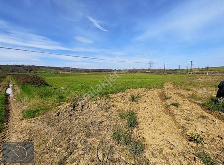 Kandıra Bozburun 1864m2 Satılık Tarla Yollu
