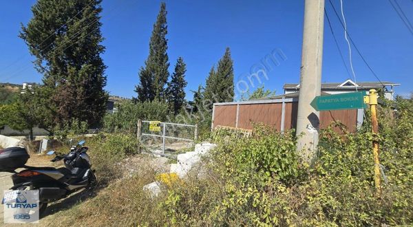 Satılık 2 Adet Konteyner Ve Meyve Ağaçları Bulunan İmarlı Arsa