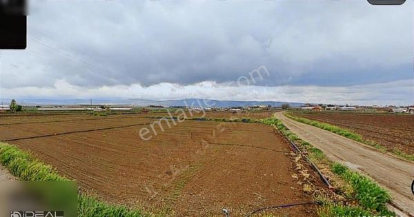 Sakintepe Mh. Kurulu Tam Düzen Satılık Tarla Ve Ekipmanları