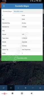 Dikili Kırobada Köy Merkezine Yakın Zeytinlik