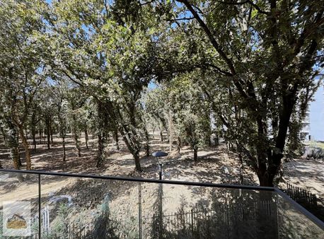 Emlak Konut Çınarköy Evleri " 4+1 Büyük Tip Kiralık Daire "