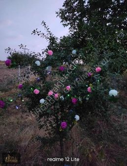 Yurdagül Yatırım'dan Atalantekke'de 862 M2 Müstakil Parsel Tarla