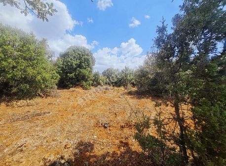Yayla Eldirekte 685 M2 İmarlı Satılık Arsa.
