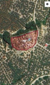 Ena Group Bursa Mudanya Ömerbey'de Deniz Manzaralı Özenle Yapılmış 3600 M2 Satılık Bağevi