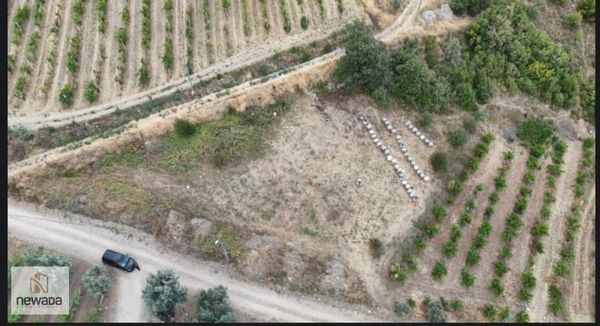 Geyve Umurbey'de 1.553m² Yola Cepheli Manzaralı Yatırımlık Tarla