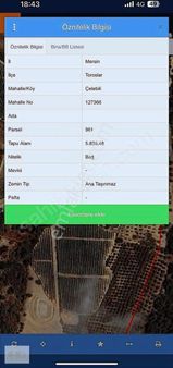 Çelebili Köyünde Satılık 5.835 M² Tarla