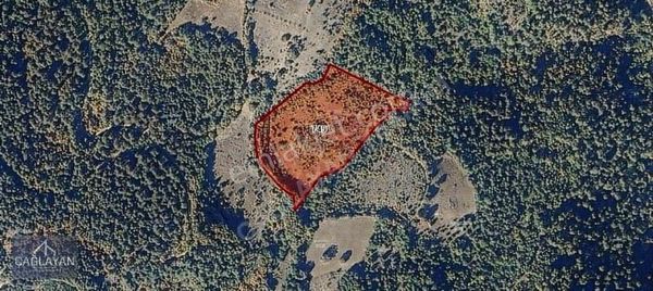 Yenikızılelma'da Kırsal Turizme Uygun 24.200 M'2 Satılık Tarla