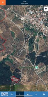 Mudanya Akköyde 7000m2 Yol Kenarı Yatırımlık Arazi!