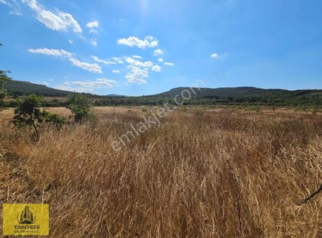 Çanakkkale Merkez Dedeler Köyünde 87.277 M2 Satılık Tarla