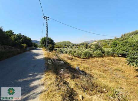Kösbucağı'nda Yol Cepheli İkiye Bölünebilir Yatırımlık Arazi
