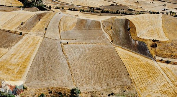 Çelik Yapı Emlak Dan Satılık Tarla