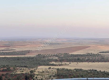 Teraslı 2+1 Geniş Satılık Daire