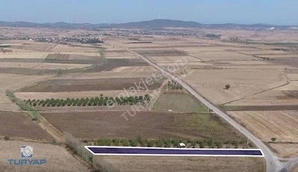 Çanakkale Biga Yeniçiftlik Köyü 2.600m2 Fırsat Satılık Tarla
