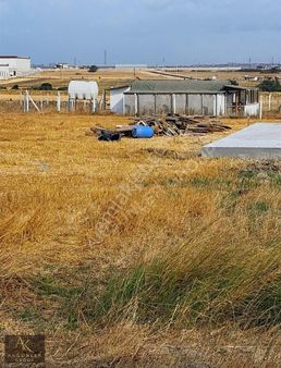 Tekirdağ Kapaklı Yanıkağıl'da İmar İçi Satılık Hisse