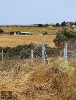 Tekirdağ Kapaklı Yanıkağıl'da İmara Yakın Satılık Hisse