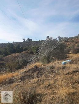 Aydın Bozdoğan Kızıltepe Kemer Barajı Manzaralı