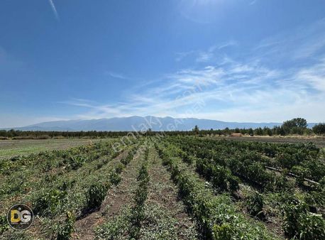 Bursa Gürsu Kazıklı Mah Satılık Hobi Bahçeleri