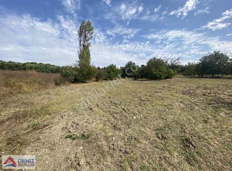 Mudanya Esence 3250 M2 Satılık Tarla