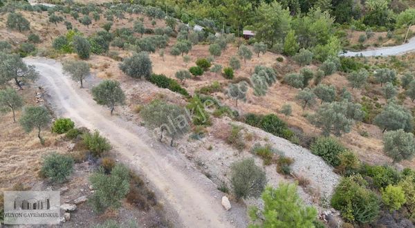 Menteşe/zeytin Mah.'de Yatırımlık Resmi Yolu Olan Tarla