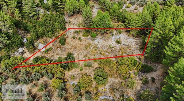 Menteşe/algı Mah. Satılık 1.391 M2 Tarla