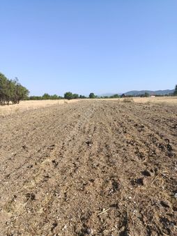 Atabey'den Acıpayam Kırca'da Satılık Bahçelik Tarla