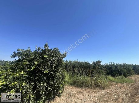 Şişeler Köyünde Yeni Açılacak Karayoluna Sıfır Yatırımlık Tarla