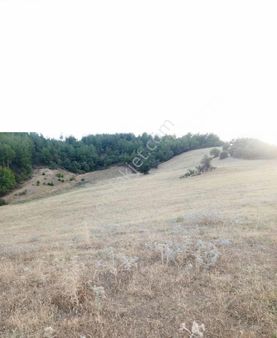 Dostlardan Yakaköyde Tarla