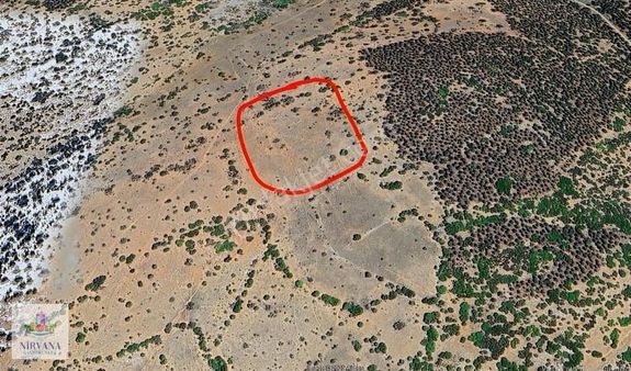 Tavas Yenide 7033 M2 Tarla. Araç Takasına Açık