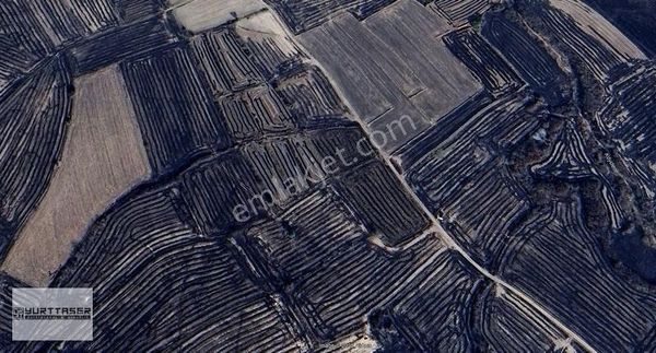 Havsa Necatiye'de İcara Kiralık Çeltik 14.800m2