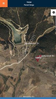 Şendoğan Emlak'tan Mihalıççık Ömer Köyü'nde 7.800m2 Tarla