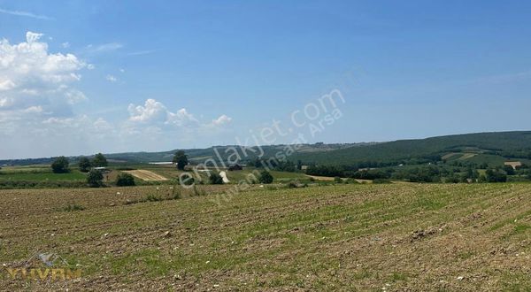 Yuvam Arsa Ofisin'den Asfalt Yola Cephe Tek Tapu 2480mt