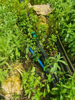 Çayarası Yaylasına 2500 M Mesafe 300 M ²