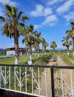 Sultanhisar Atça Mah. Satılık Çiftlik