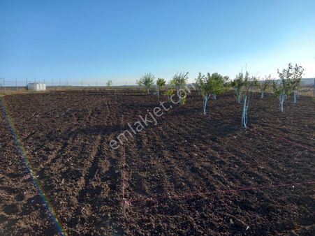 Muratlı Rota Emlak Ta Arzulu Mah Satılık Uygun Yatırımlık Tarla