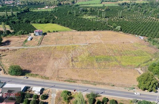 Nysa Emlak,tan Beyobası Mh 1031 M2 Satılık Rızai Taksimli Tarla