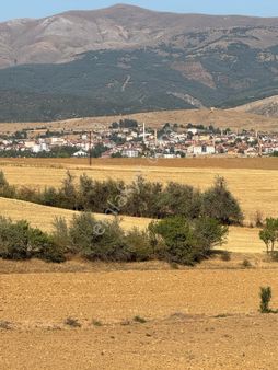 Yalvaç Salur Da 26 Dönüm Arazi