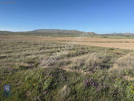 Tuşba Molla Kasım Mahallesinde 100.327 M2 Satılık Tarla !!