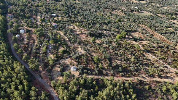 Karacasuda 37 Dönüm Manzaralı Güzel Konumda Tarla