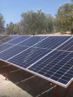 Çamcı Köyü’nde Satılık Zeytinlik – Yüksek Yatırım Potansiyali!