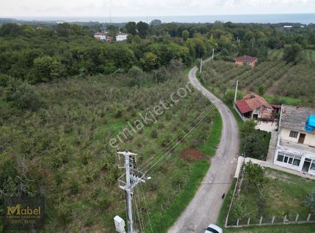 **mabel'den-ünye'ye 3km Mesafe İster Villalık İster Yatırımlık**
