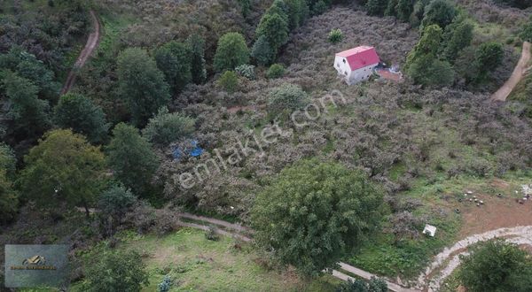 Erha Gayrimenkulden Samugüney Köyü Deniz Manzaralı Satılık Bahçe