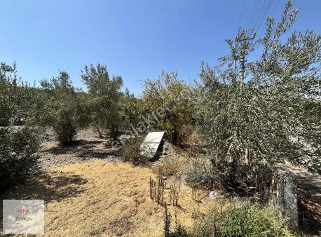 Fethiye Yanıklar Mahallesinde 1055 M2 Tarlada Müstakil Ev