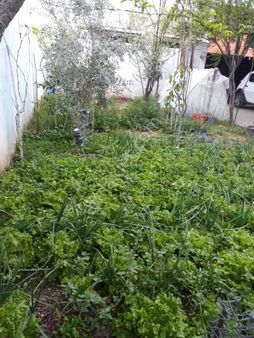 Final Emlak'tan İncirliova Hürriyet Mah.de Müstakil 2+1 Satılık Daire