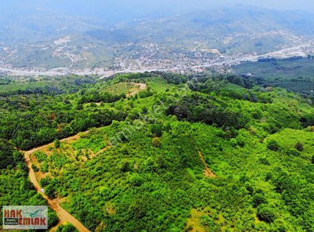 Hak Emlak'tan Boğaziçi-kabalak Mah. Satılık 2.883m² Hobi Bahçesi