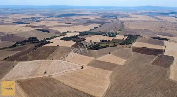 Mayadan Edirne Keşan Beğendik'te Çift Yola Cephe Satılık Tarla