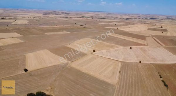 Mayadan Edirne Keşan Yeniceçiftlik'de Yola Cephe Satılık Tarla