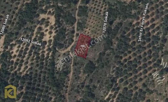 Koyuncuoğlu'ndan Hacimirzalı Ağlıboğaz Mevki Satılık Arsa