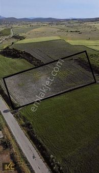 Balıkesir Paşa Köy Mahallesinde 9 Dönüm Satılık Arazi