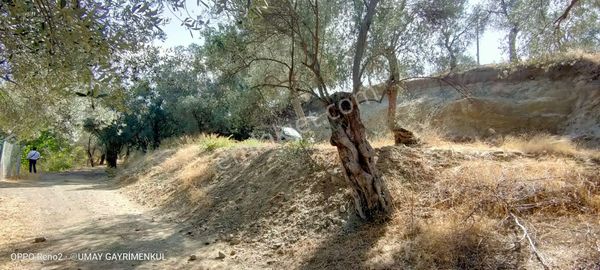 Hobi Bahçesi Arayanlara Dört Köşe Yatırım Fırsatı